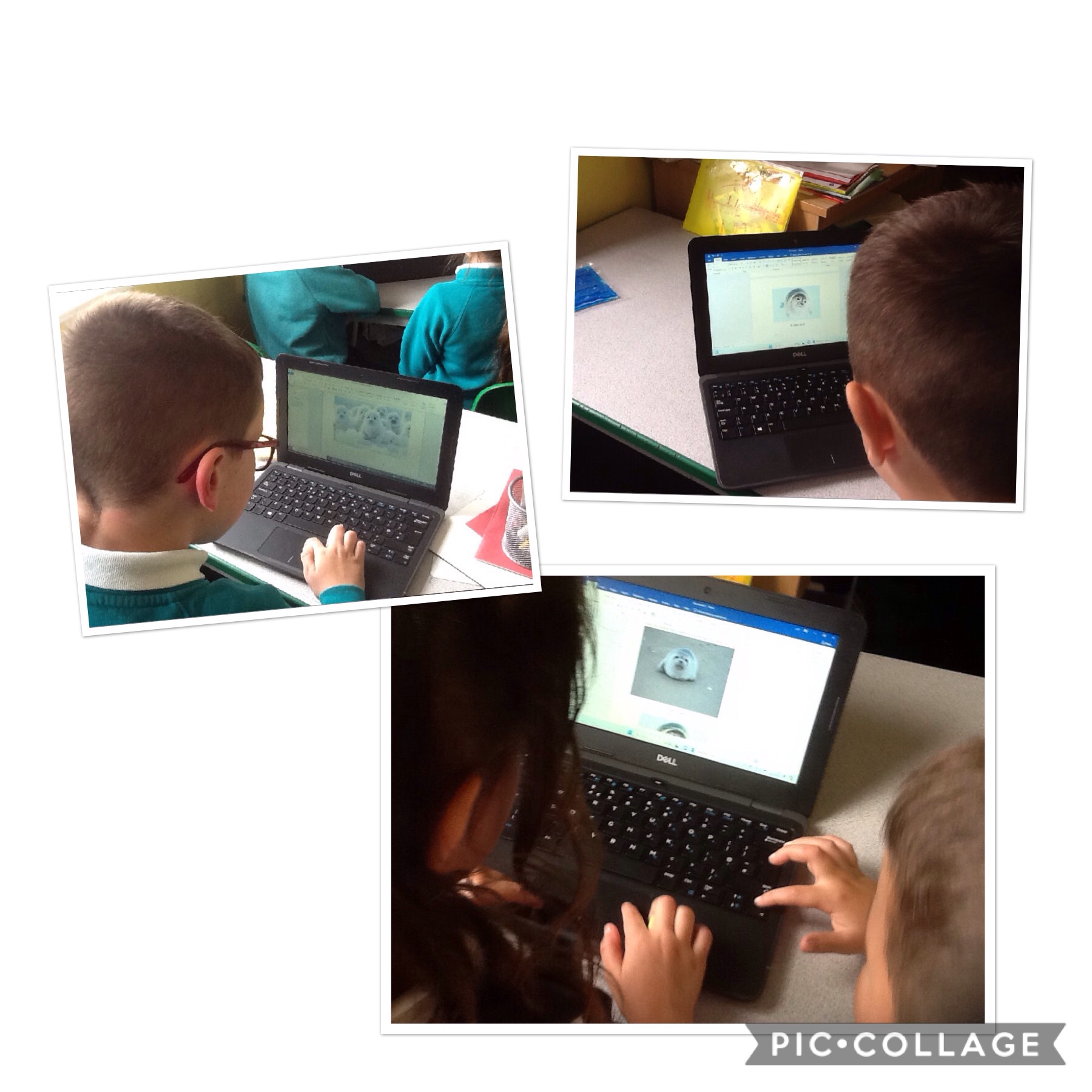 ICT Brookside Primary School
